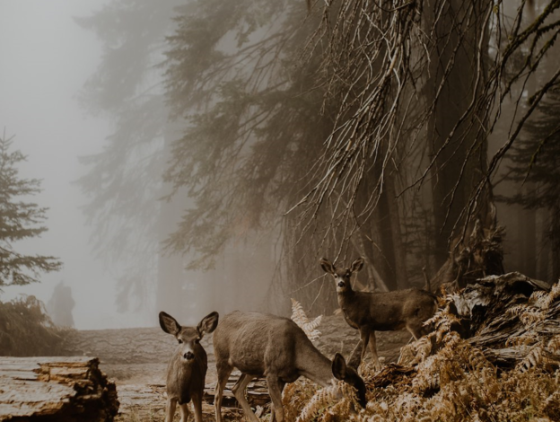 Sony World Photography Awards 2018 - najlepsze zdjęcia